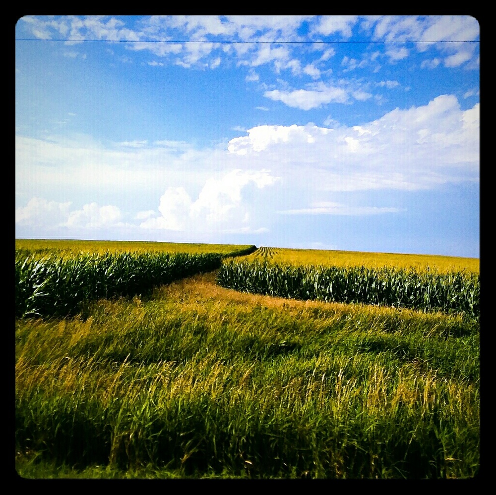 🌠💥 BUY 2 ITEMS & GET ONE FREE!!!💥🌠